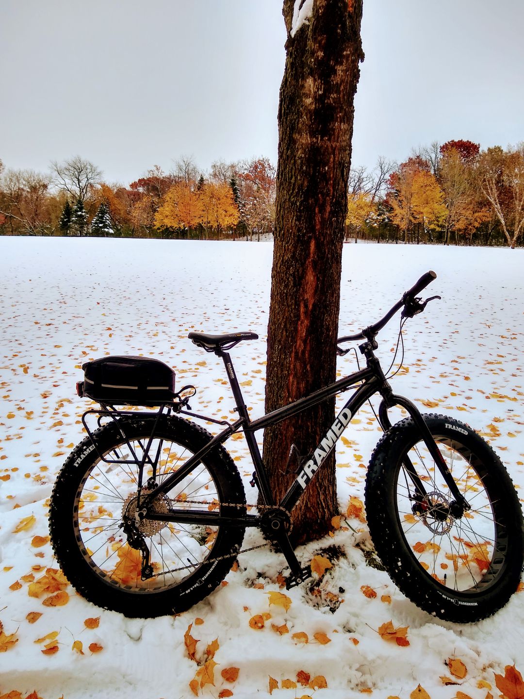 Framed minnesota fat bike for online sale